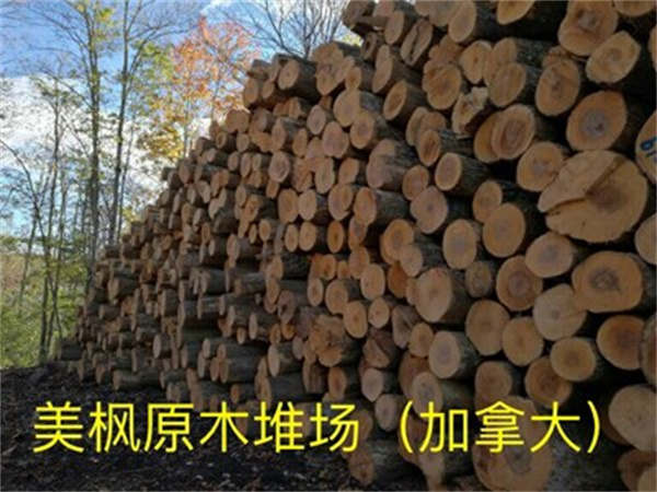 丽水体育木A级地板厂家