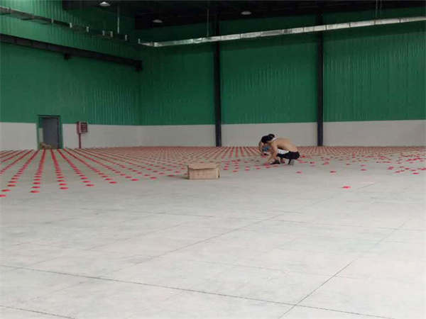 广西运动场实木A级地板大全